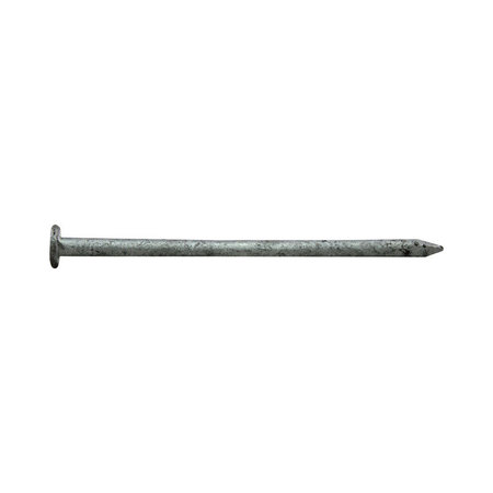 PRO-FIT Common Nail, 2-1/2 in L, 8D 0054155
